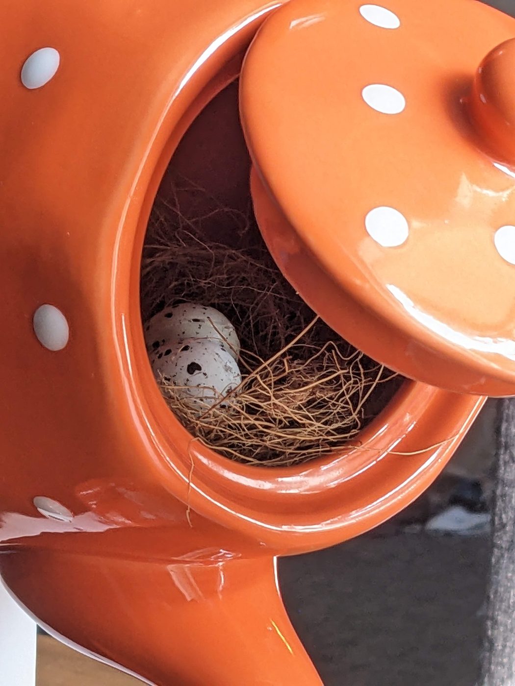 Orange Dot Bird House